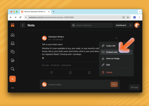 Substack Notes feature