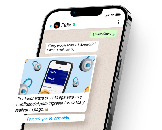 Félix Pago's process