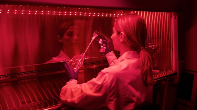 Prolific Machines, bioreactor