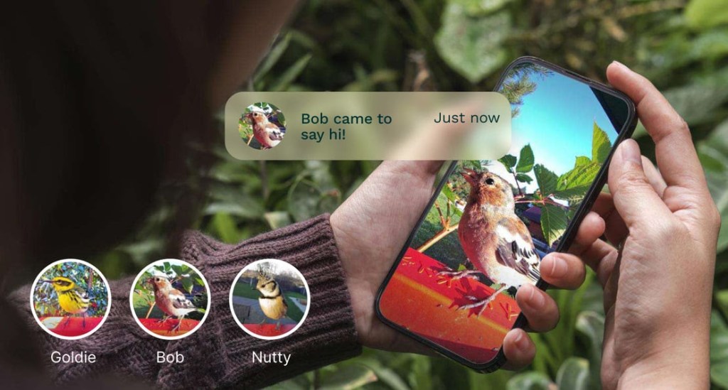 Bird Buddy’s new AI feature