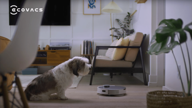 An Ecovacs Deebot T20 Omni.