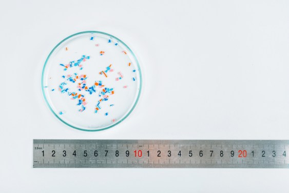Microplastics research, conceptual image. ruler next to Petri dish holding microplastics