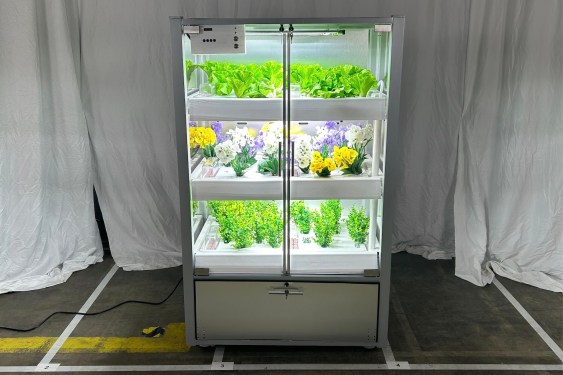 Babylon Micro-Farms system designed for a school