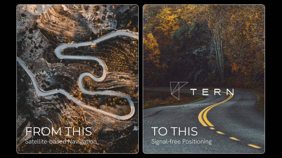 Tern AI with logo