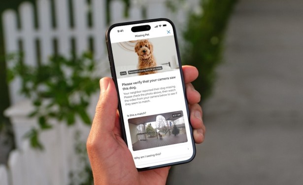 Ring Search Party feature on smartphone